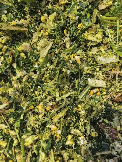 Yiman Agriculture がキャベツの酢漬け一括輸入プロジェクトの理想的なサプライヤーとなる主な強みは何ですか?