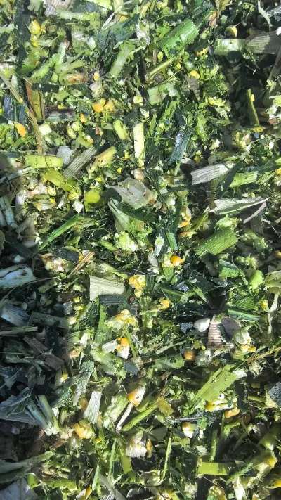 世界中の生鮮食品の保管と輸送において頻繁に課題が発生している中、どうすれば宜満農業の丸キャベツの新鮮な品質を最初から最後まで維持できるでしょうか?